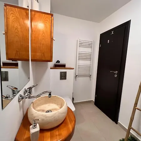 Coresi Bright 公寓 布拉索夫